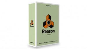 reason daw